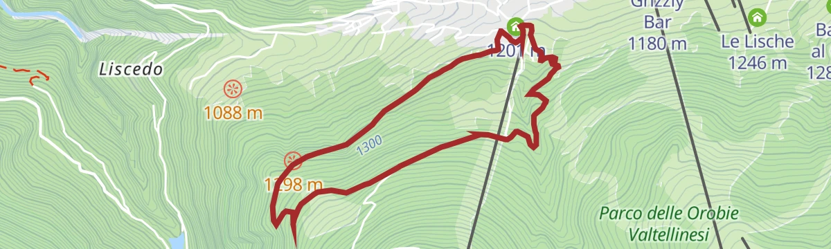 Route map: Gentle Forest Trail
